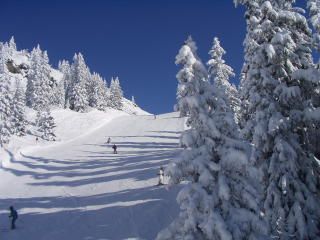 La Rosière 1850 : location saisonnière studio 4 personnes, ski sans frontière France Italie