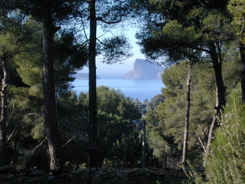 une vue du terrain sur la mer