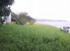 Terrain 1e ligne cotiere � LIMBE (Cameroun)