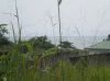 Vente Terrain � Kribi (Cameroun)