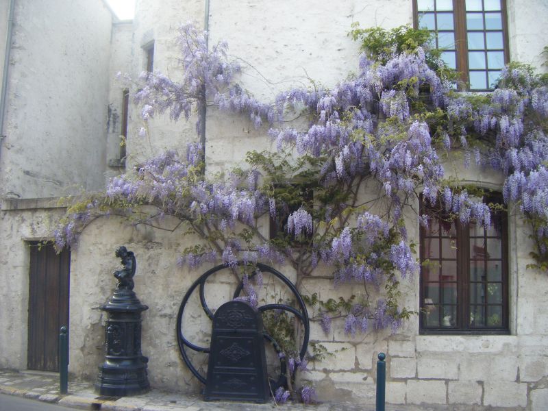 Location saisonnière Gîtes, chambre hôtes à Beaugency (France)