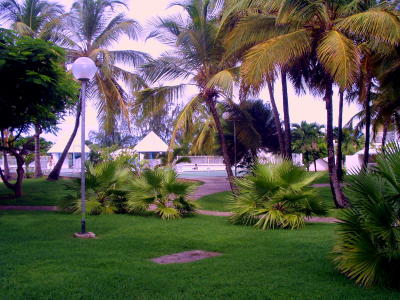 Location en Guadeloupe : Une autre plage située à 200 m