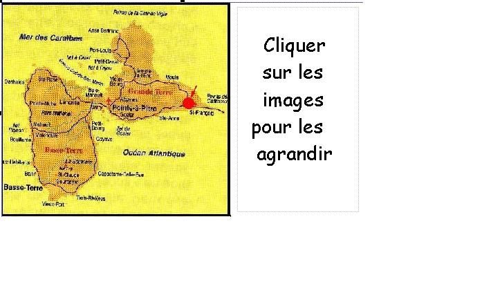 Le parc arboré