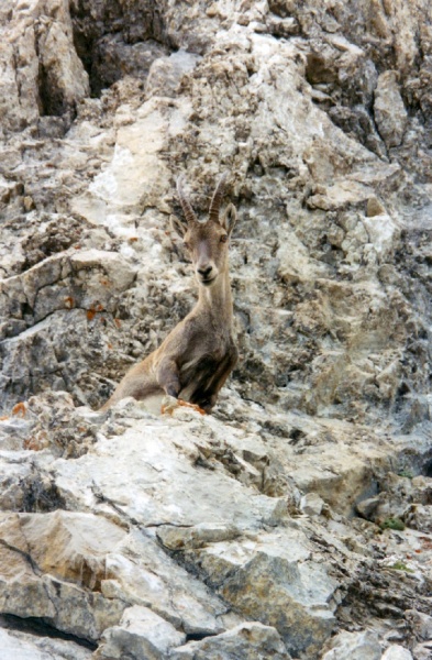 Triangle des vacances entre Mer, Provence et Annecy