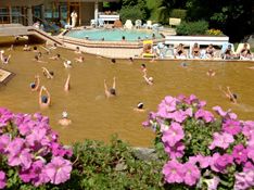 Piscine eau de source chaude de Salins