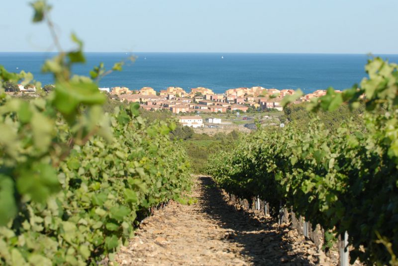 Le marché de St Pierre La Mer