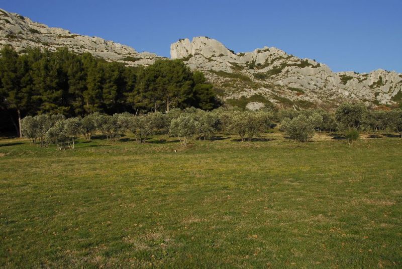 randonnées dans les Alpilles