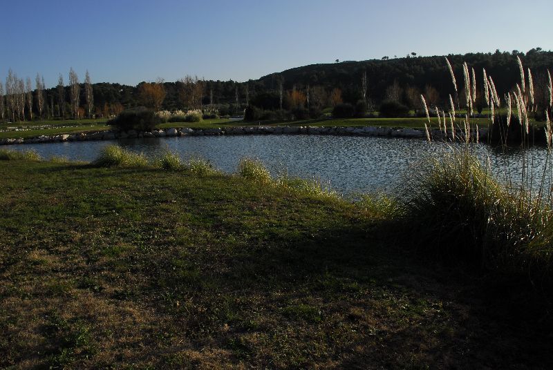 Location saisonnière  Alpilles