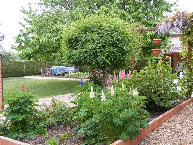 LES FLEURS DU JARDIN